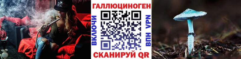 площадка телеграм  Калининград  Галлюциногенные грибы Cubensis 